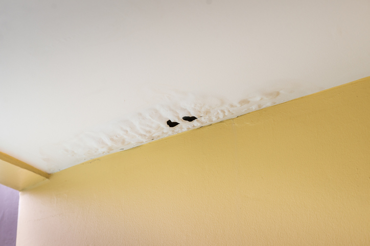 How To Repair Drywall That Has Been, How Much Is Drywall Ceiling Repair